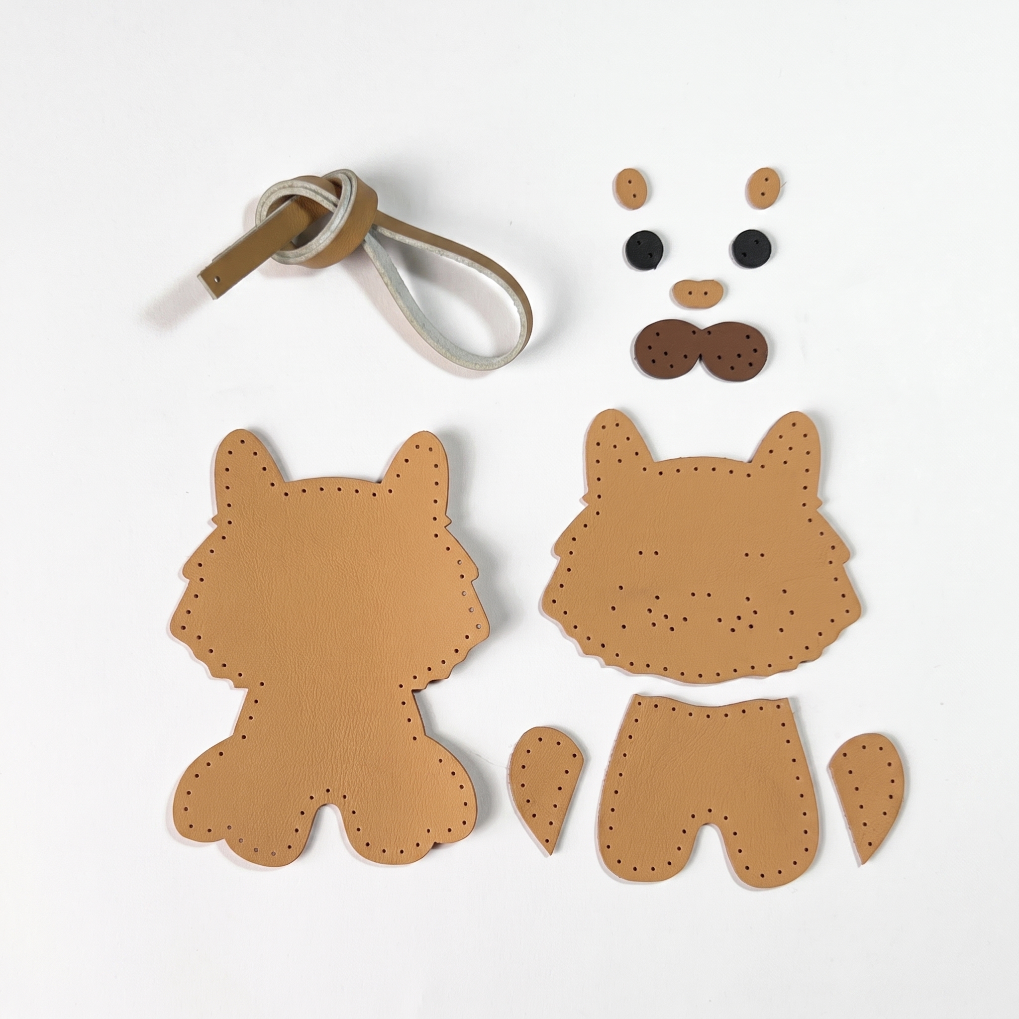 Mèo 01-Bộ KIT